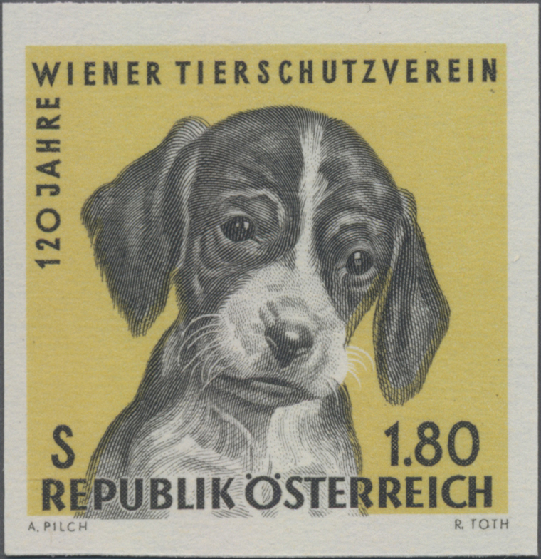 1966, 1, 80 S. 120 Jahre Wiener Tierschutzverein