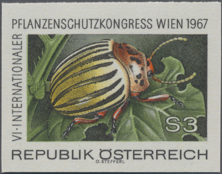 1967, 3 S, VI. Internationaler Pflanzenschutzkongress Wien, Abbildung: Kartoffelkäfer