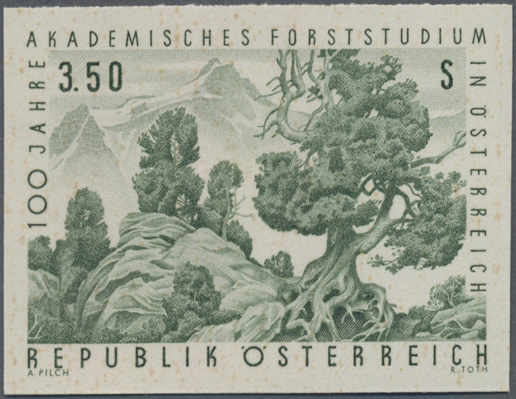 1967, 3, 50 S, 100 Jahre Akademisches Forststudium in Österreich, Abbildung: Zirbelkiefer