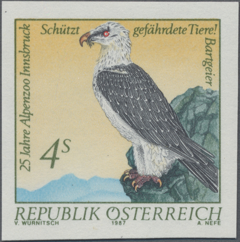 1987, 4 S, Naturschutz: 25 Jahre Alpenzoo, Innsbruck, Abbildung: Bartgeier