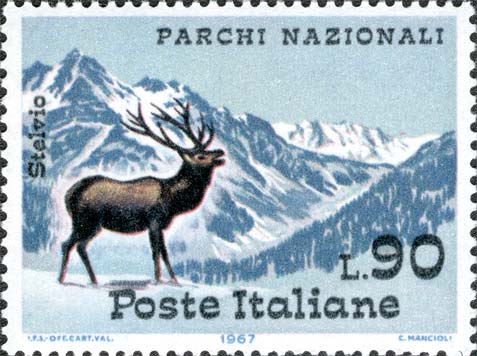Parchi nazionali - Cervo e gruppo dell´Ortles nel parco dello Stelvio