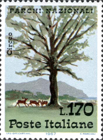 Parchi nazionali - Daini e albero nel parco del Circeo