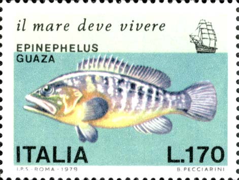 Salvaguardia del mare