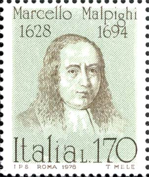 Marcello Malpighi