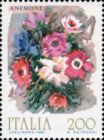 Fiori - Anemone