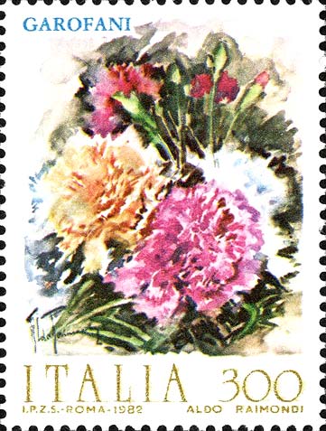 Fiori - Garofani