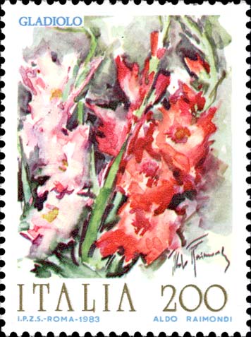 Fiori - Gladiolo