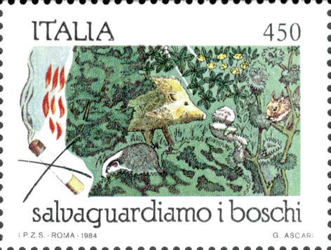Salvaguardia dei boschi - Pericolo d´incendi