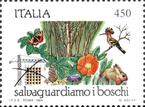 Salvaguardia dei boschi - Difesa da insediamenti edilizi