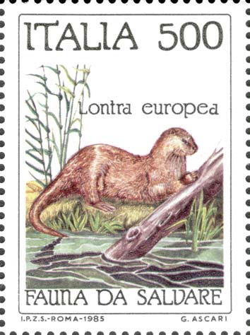 Flora e fauna da salvare - Lontra europea
