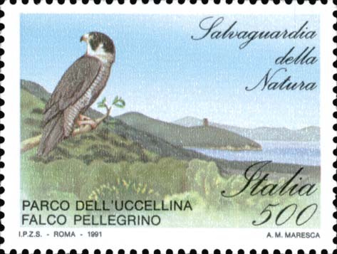 Salvaguardia della natura - Falco pellegrino