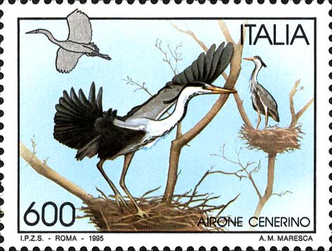 Uccelli