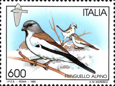 Uccelli