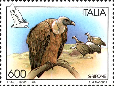 Uccelli