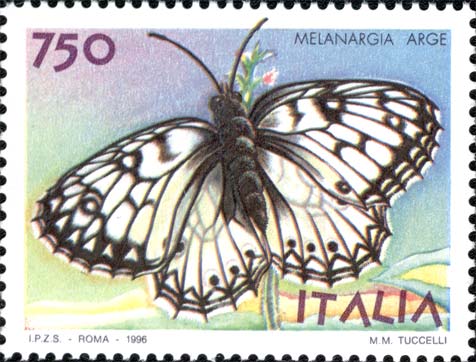 Farfalle