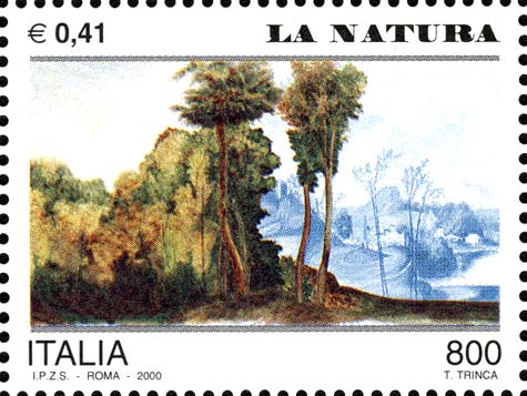 Avvento dell´anno 2000, la natura
