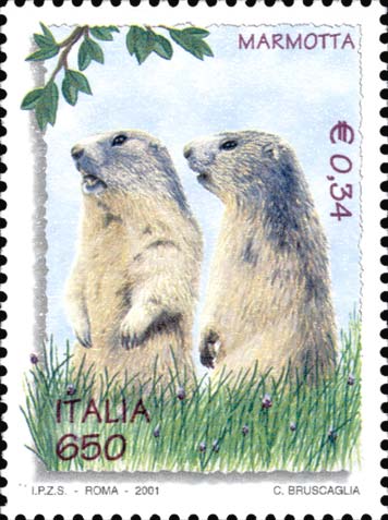 Flora e fauna