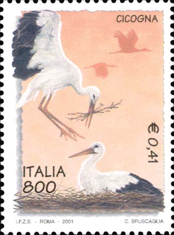 Flora e fauna