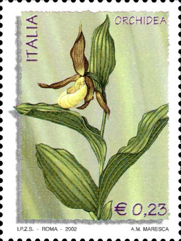 Flora e fauna