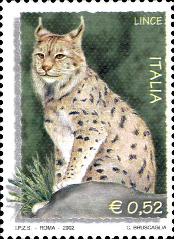 Flora e fauna