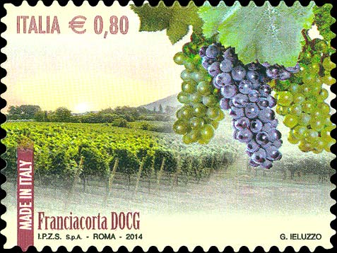 Made in Italy: vini DOCG - Franciacorta