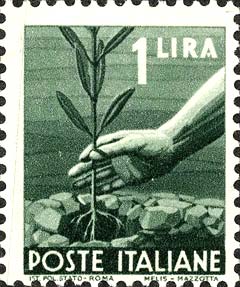 Democratica - Mano che pianta un ulivo