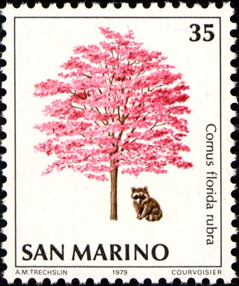 Natura da salvare