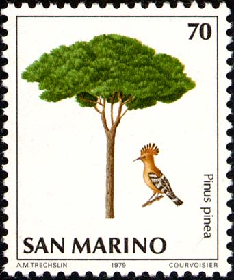 Natura da salvare