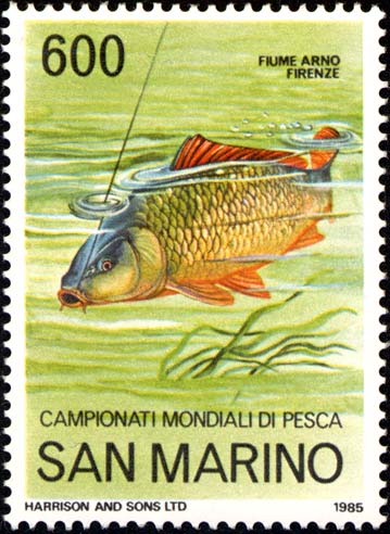 Campionato mondiale di pesca