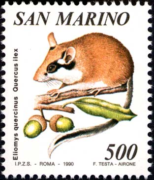 Flora e fauna di San Marino