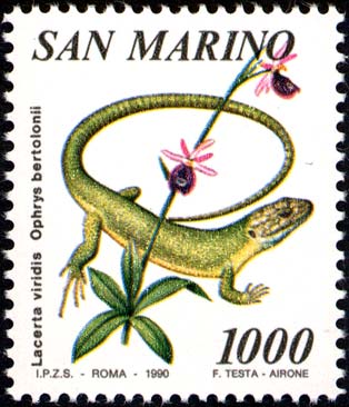 Flora e fauna di San Marino