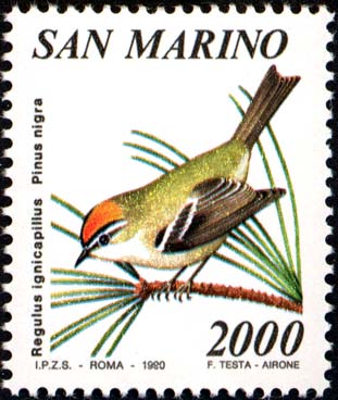 Flora e fauna di San Marino