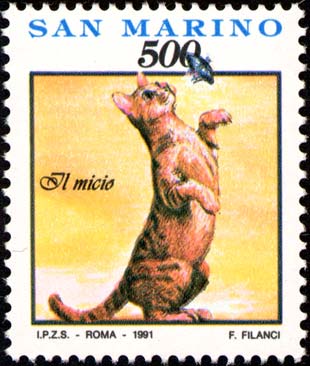 Cose gesti ed affetti di ogni giorno