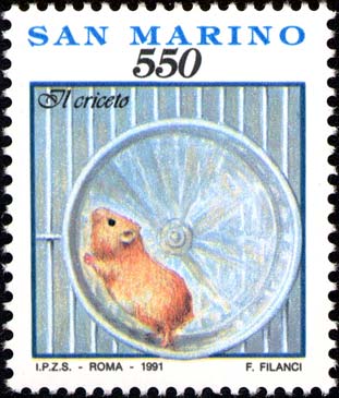 Cose gesti ed affetti di ogni giorno