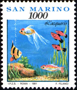 Cose gesti ed affetti di ogni giorno