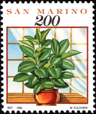 Cose, gesti ed affetti di ogni giorno