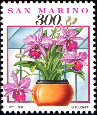 Cose, gesti ed affetti di ogni giorno