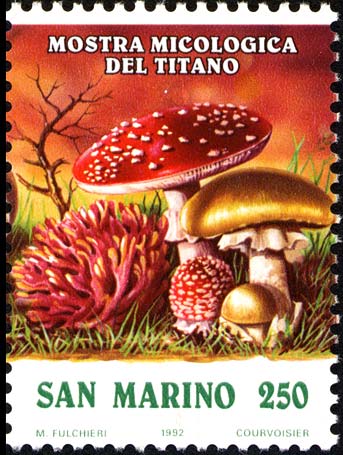 Mostra micologica del titano