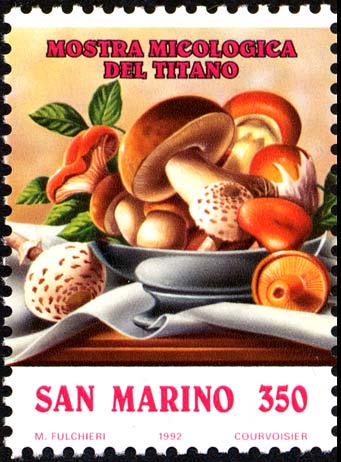 Mostra micologica del titano