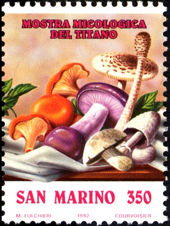 Mostra micologica del titano