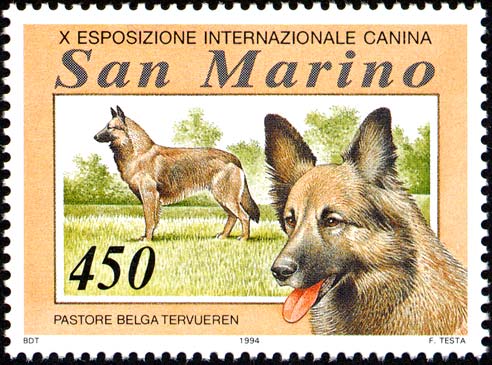 Esposizione internazionale canina - Pastore belga tervueren