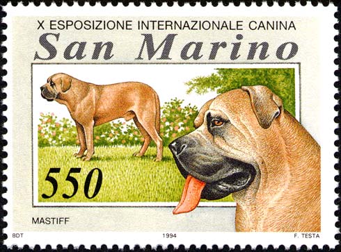 Esposizione internazionale canina - Mastiff