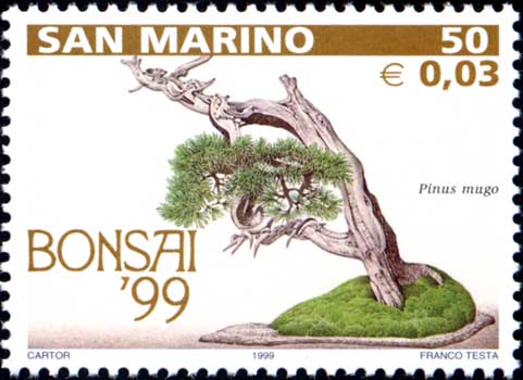 Mostra di bonsai a San Marino