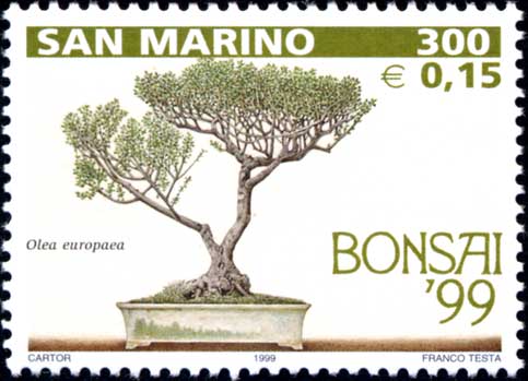 Mostra di bonsai a San Marino