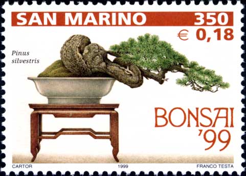 Mostra di bonsai a San Marino