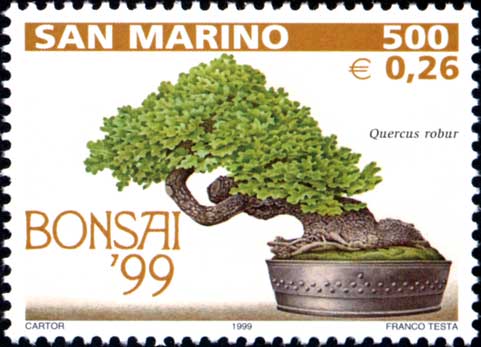 Mostra di bonsai a San Marino