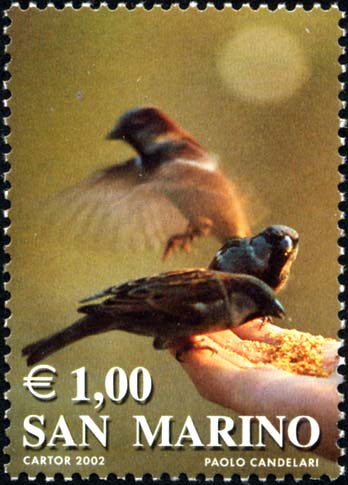 I colori della vita - Passeri (marrone)