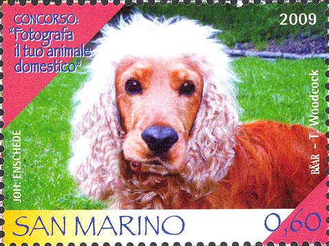 Concorso: fotografa il tuo animale domestico