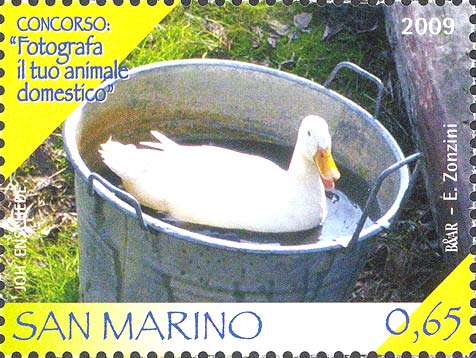 Concorso: fotografa il tuo animale domestico