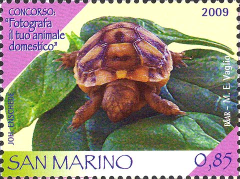 Concorso: fotografa il tuo animale domestico